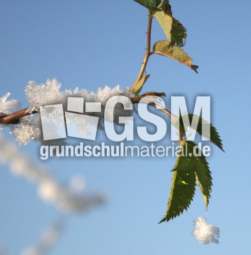 Winterimpressionen 061.jpg